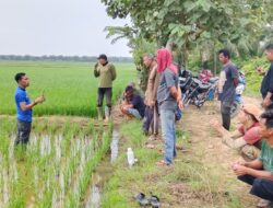 Tingkatkan Pengetahuan Petani, PT. Bayer Indonesia Demonstrasikan Cara Pemakaian Produk