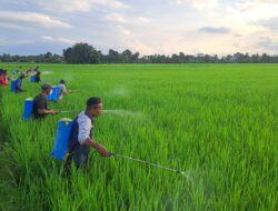 PT. Bayer Indonesia Berikan Pengarahan dan Edukasi  Bagi Petani Gelanggang Merak