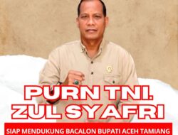 Strategi Memenangkan Calon Bupati Dalam Pilkada Aceh  Tamiang