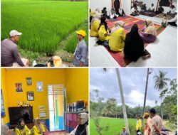 Mahasiswa KPM USCND Beri Edukasi Pengendalian Hama Penyakit Padi