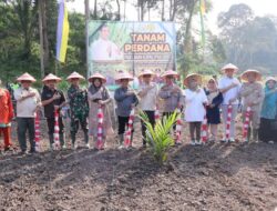 Dukung Swasembada Pangan Nasional, Pemkab Aceh Tamiang Tanam Padi Gogo di Lahan PSR