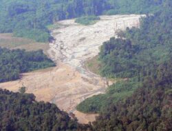 DPRK Aceh Tamiang Minta Perusahaan Perkebunan Patuhi Aturan Tentang Larangan Menanam Sawit di Sepadan Sungai