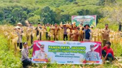 Polres Aceh Tengah Gelar Panen Raya Jagung di Lahan Produktif Arul Gading, Capai 3.500 Kg