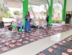 Rutinitas Setiap Tahun, MAN 2 Aceh Tamiang, Laksanakan Qurban di Madrasahnya