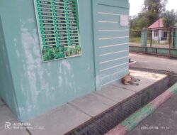 Kurangnya Pengawasan Dari Pihak Puskesmas, Dua Ekor Anjing Masuk Ke Komplek Puskesmas Bies