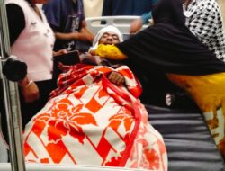 Gajah Liar Menyerang seorang Warga Tanjung Saat Dikebun