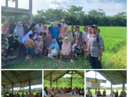 PT. Bayer Indonesia Bersama Penyuluh Pertanian, Dukung PSN Ketahanan Pangan