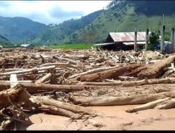 Ribuan Kayu Gelondongan Terdampar di Darat Saat Banjir dan Tanah Longsor di Aceh Tengah